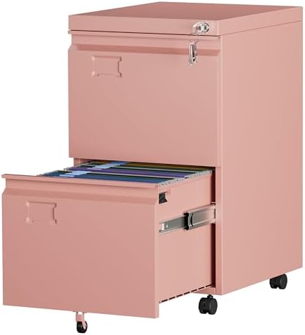 Aobabo Lockable 2 Drawer File Cabinet for Home Office – Metal Filing Cabinet with Wheels, Business Card Slot, Legal/Lett