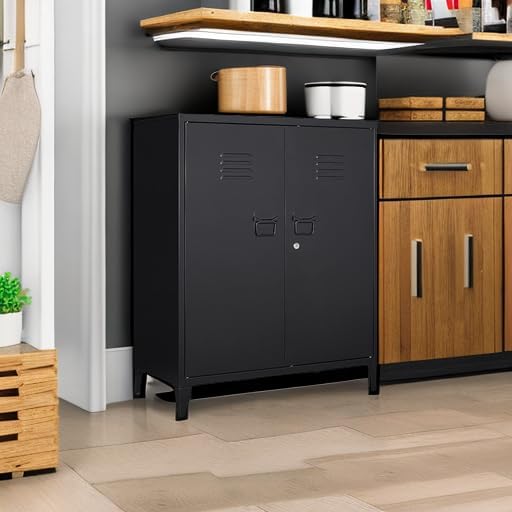 MIIIKO Metal Locker 2-Door Storage Cabinet | Versatile Accent for Kitchen, Pantry, Office, Garage | Durable Recycled Mat
