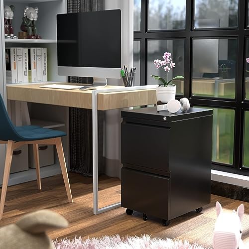 Aobabo Lockable 2 Drawer File Cabinet for Home Office – Metal Filing Cabinet with Wheels, Business Card Slot, Legal/Lett