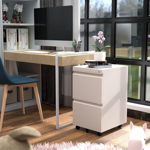 Aobabo Lockable 2 Drawer File Cabinet for Home Office – Metal Filing Cabinet with Wheels, Business Card Slot, Legal/Lett