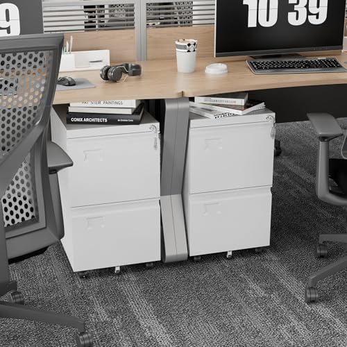 Aobabo Lockable 2 Drawer File Cabinet for Home Office – Metal Filing Cabinet with Wheels, Business Card Slot, Legal/Lett